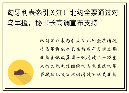 匈牙利表态引关注！北约全票通过对乌军援，秘书长高调宣布支持
