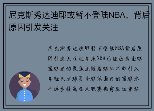尼克斯秀达迪耶或暂不登陆NBA，背后原因引发关注