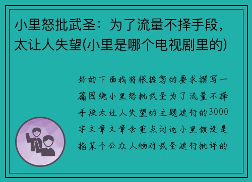 小里怒批武圣：为了流量不择手段，太让人失望(小里是哪个电视剧里的)