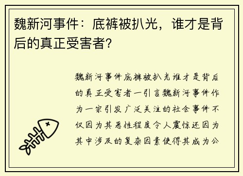魏新河事件：底裤被扒光，谁才是背后的真正受害者？